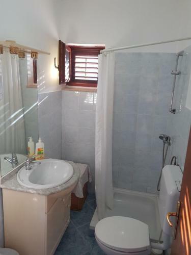 Apartments Zoran