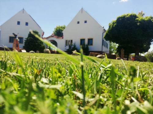 Bed & Breakfast Turul Panzi� & Kult Terasz Konyha