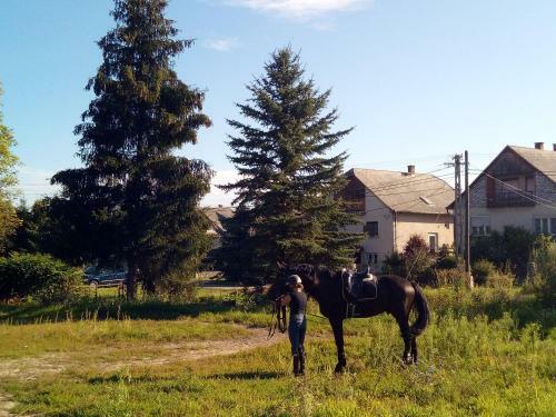 Hostal Feny?fa Vend�gh�z