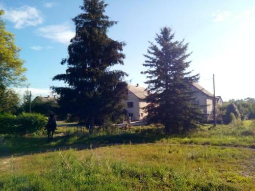 Hostal Feny?fa Vend�gh�z