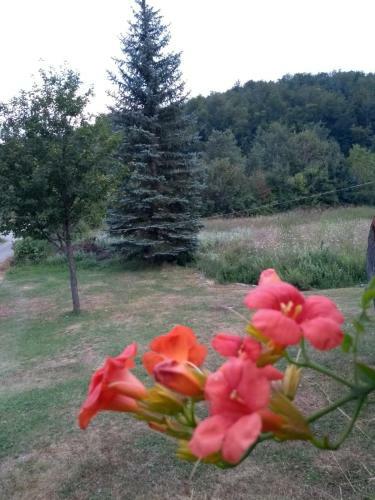 Apartman Sveti Rok
