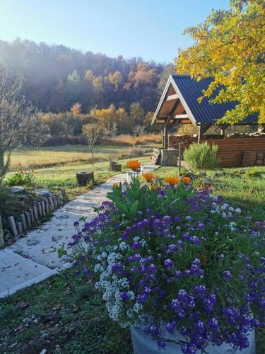 Apartman Sveti Rok