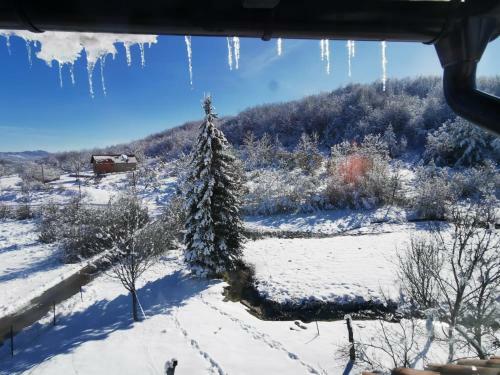 Apartman Sveti Rok