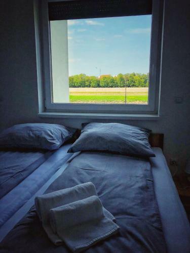 Moment Apartments
