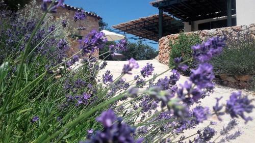 Villa Lavender Hill Hvar Spa