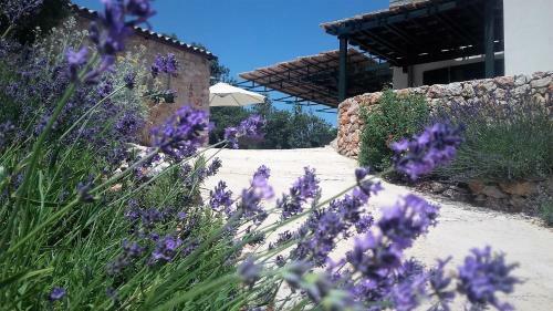Villa Lavender Hill Hvar Spa