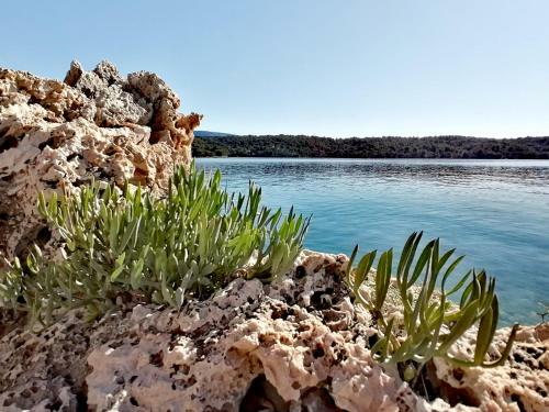Vacation House Mlaki Rot