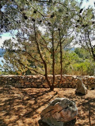 Vacation House Mlaki Rot
