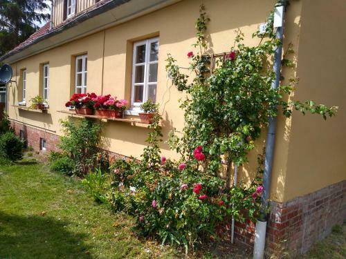 Ferienwohungen Dom�ne S�pplingenburg