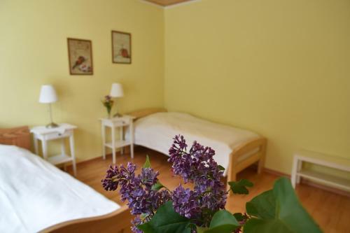 Apartamento Ferienwohnung Kaiser Lothar