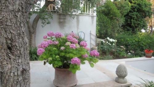 Apartamentos Villa-srece Appartements
