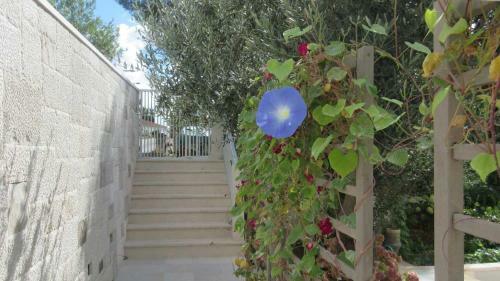 Apartamentos Villa-srece Appartements