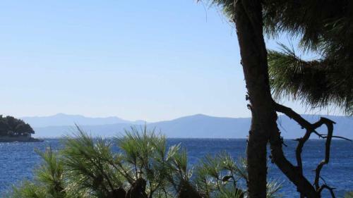 Apartamentos Villa-srece Appartements