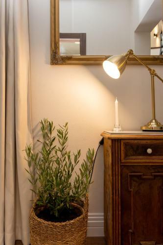 Villa House Central Istria