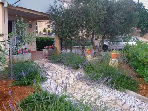 Apartman Sveti Vid