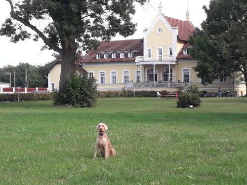 Bed & Breakfast Rosenberg K�ria