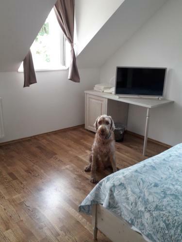 Bed & Breakfast Rosenberg K�ria