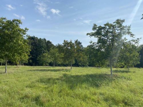 Kleines Ferienh�uschen Im Gr�nen Am See