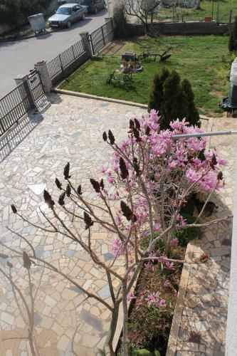 Apartamentos Green Oasis