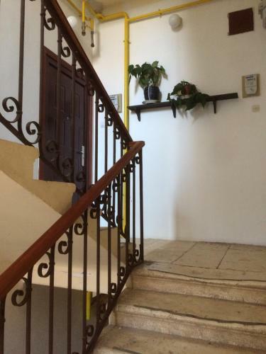 Noemi City Apartments