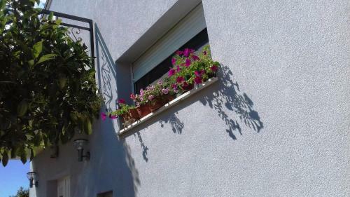 Apartment Lavander
