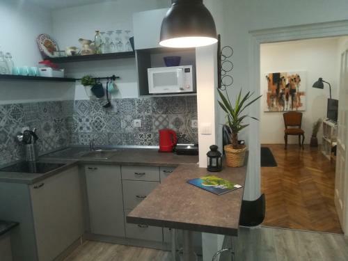 Apartamentos Deluxe Zoya Centar