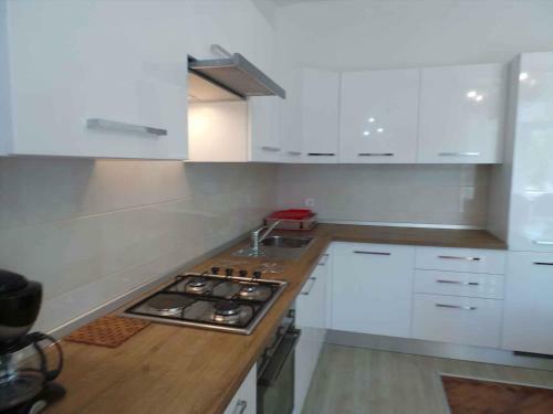 Apartment Near Archaeological Museum In Pula In Pluj