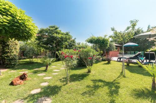 Country House Apartments