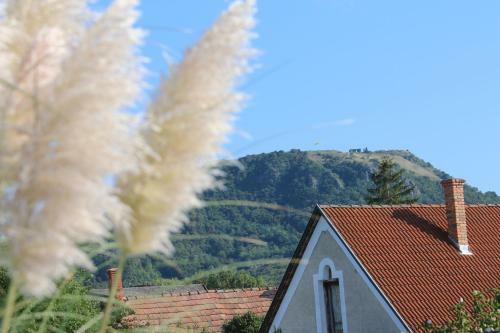 Apartamento Naposoldal Vend�gh�z