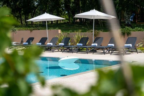 Vitis Apartment Istra