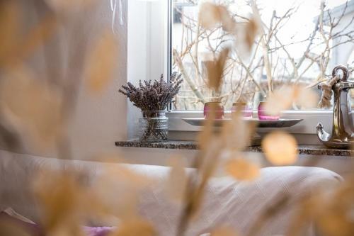 Apartment Mirna In Tar