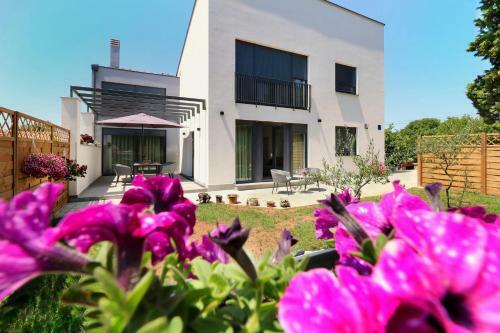 Apartamentos Papillon I Dolce Vita