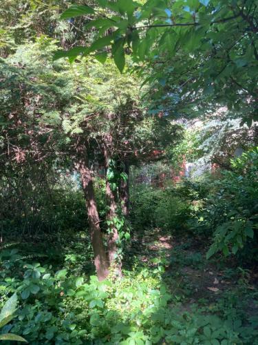 Hostal Donau Apartman,t�t