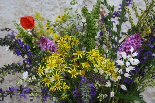 Bed & Breakfast La Perle Du Lot