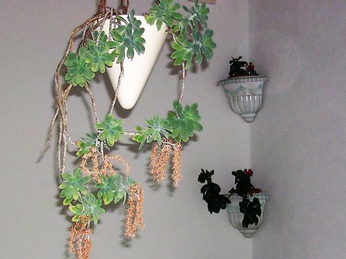 Apartman Lavanda