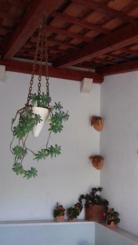 Apartman Lavanda