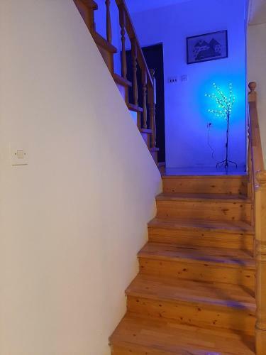 Holiday Home Ivano