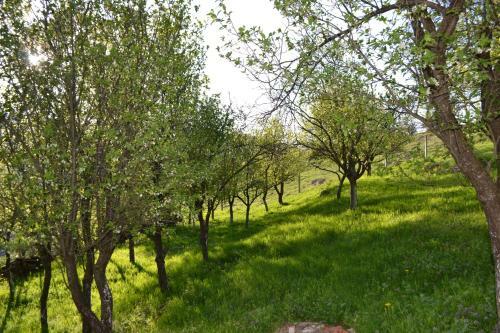 Hostal Guest House Griva Plitvice