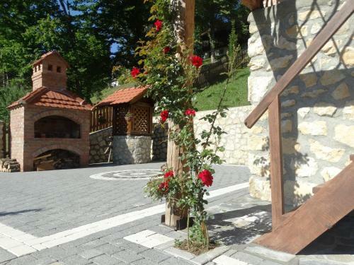 Villa Vila Trnoru?ica