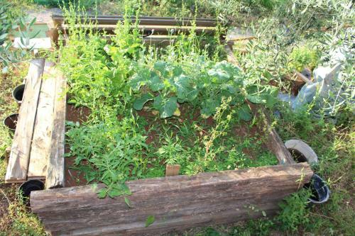 Mary's Garden