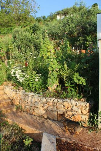 Mary's Garden