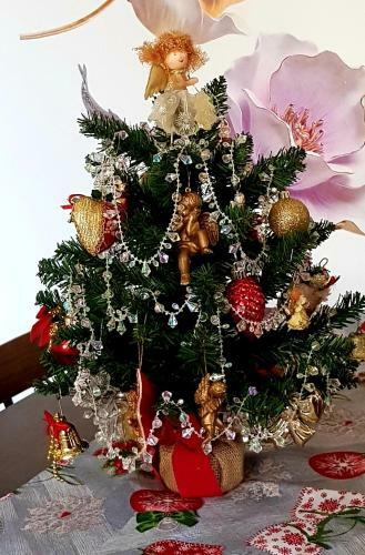 Apartamento Forr�s Vend�gh�z