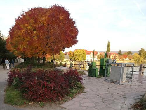 Bed & Breakfast Panzi� Tata