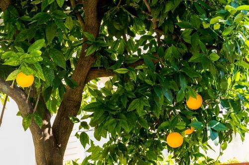 Apartamento Canusa Holiday Home