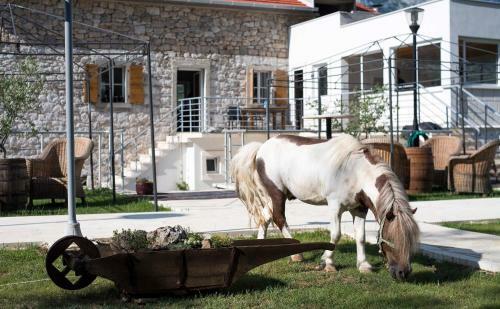 Hostal Village Property Tru?a