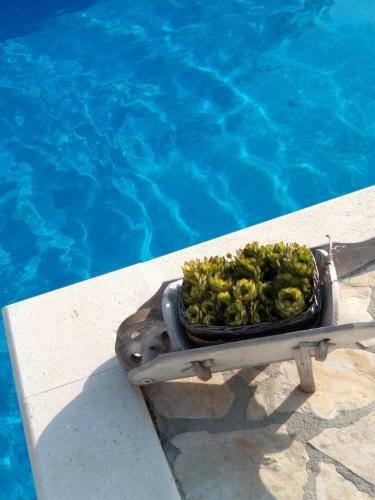 Villa Apartments Ana