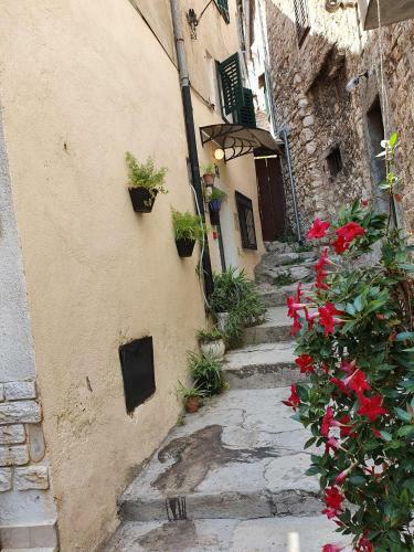 Albergue Room With Shared Bathroom House Gorica
