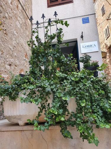 Albergue Room With Shared Bathroom House Gorica