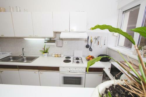 Apartment Ema