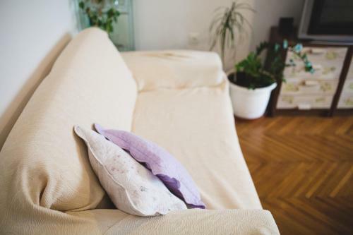 Apartment Ema